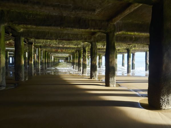 Concrete Pier Repair in Antioch